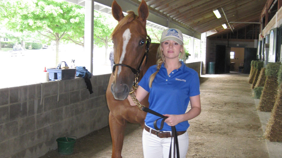 Equisio